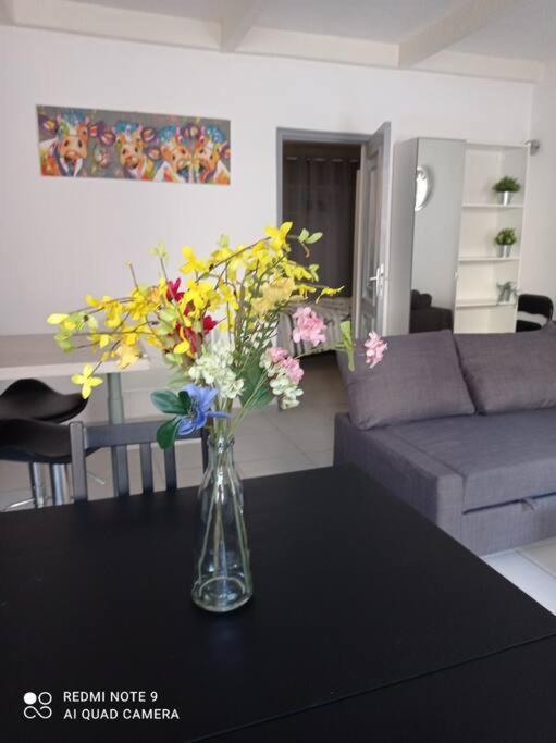 Appartement Au Coeur Du Village 滨海萨纳里 外观 照片